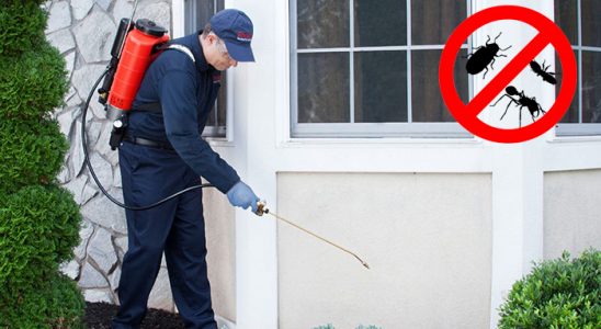 Kent 2 Gümüşkurt İlaçlama böcek ilaçlama ve haşere kontrolü — ilaclama-tr.com